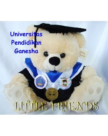 Boneka Wisuda Universitas Pendidikan Ganesha - Ekonomi (30 cm)
